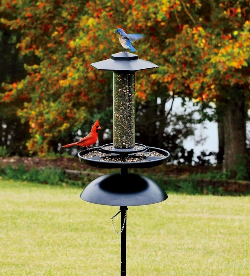 Free Standing Bird Feeder Foter