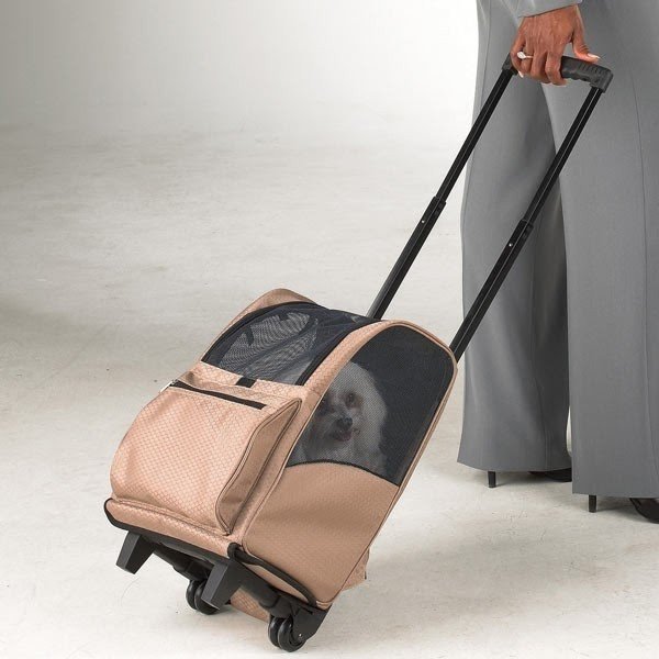 https://foter.com/photos/302/cat-carriers-wheels.jpg