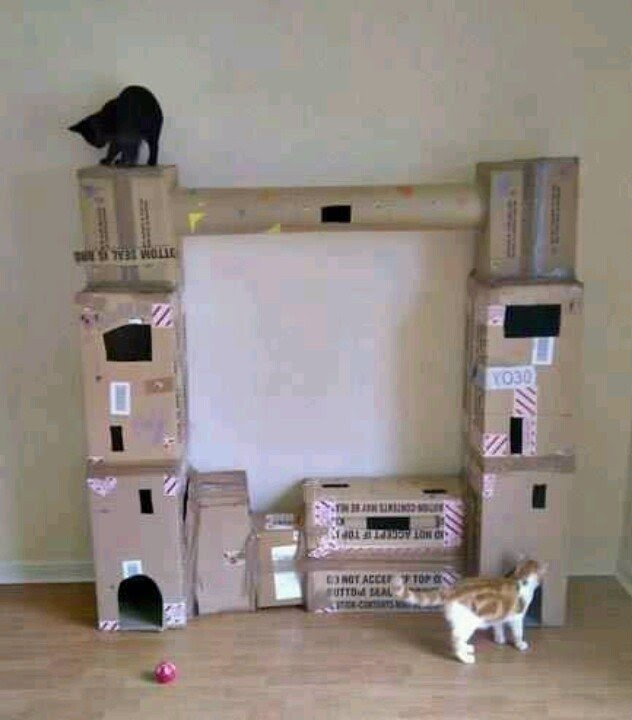cardboard box cat tree