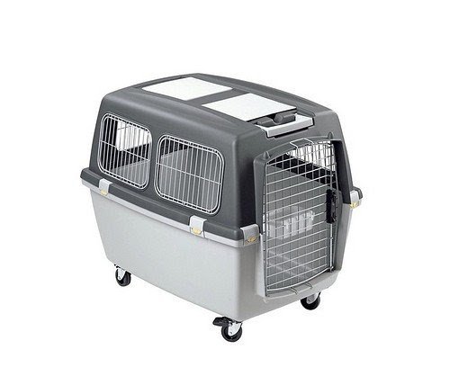 Cat carrier with outlet wheels