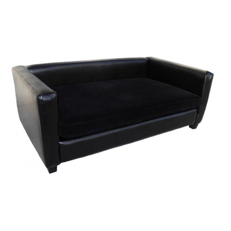 black dog couch