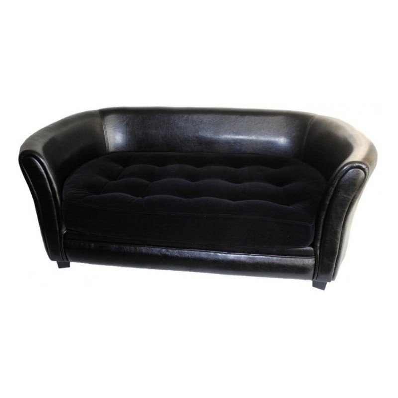 black dog couch