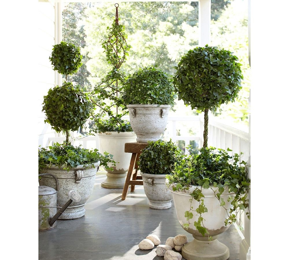 Porch topiary