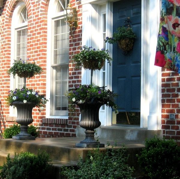 Topiaries for front porch 1