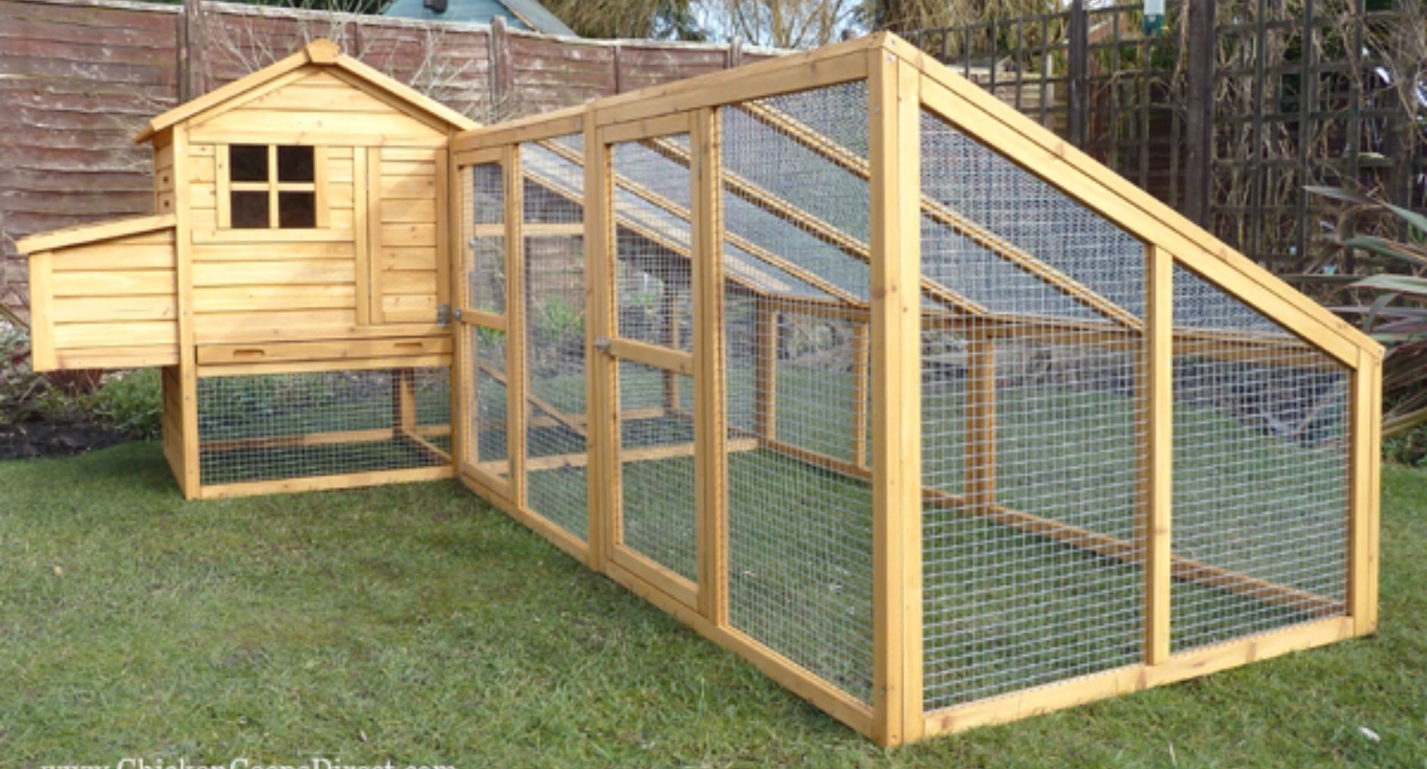 dog crate chicken coop