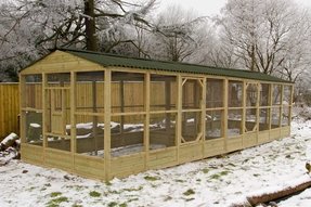 Chicken Coop With Run For Sale Ideas On Foter