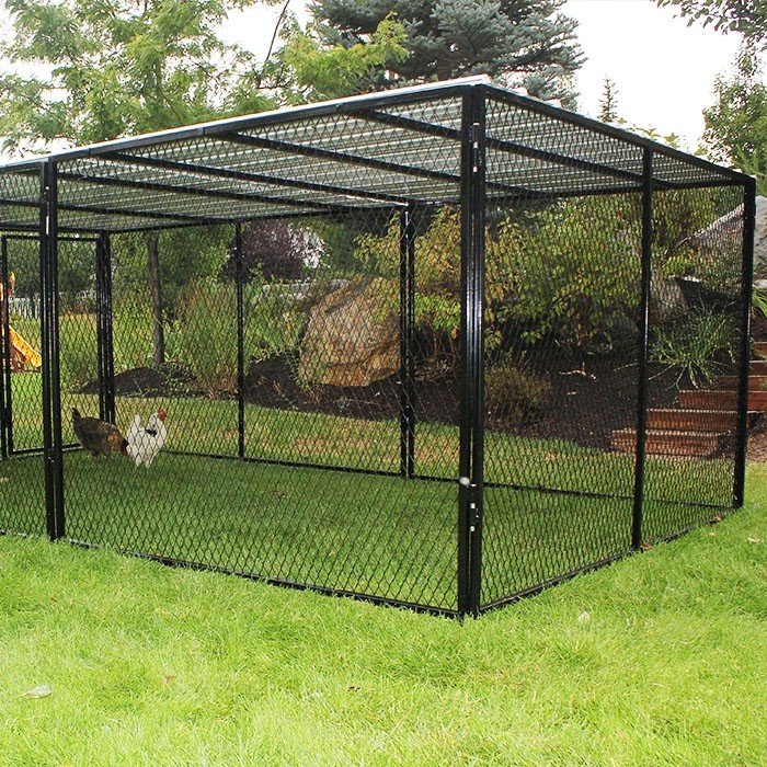 Chicken Run For Sale Ideas on Foter