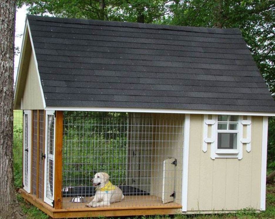 Dog house 5