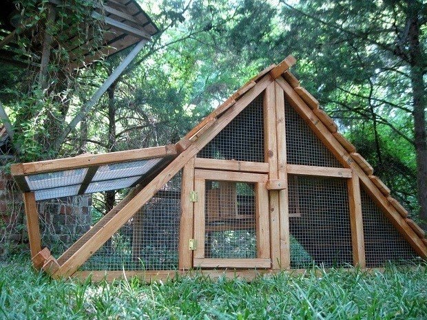 Large chicken coops with runs