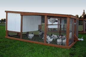 Movable Chicken Coops For Sale Ideas On Foter