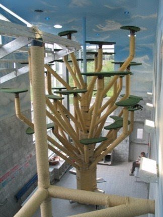 worlds biggest cat tree
