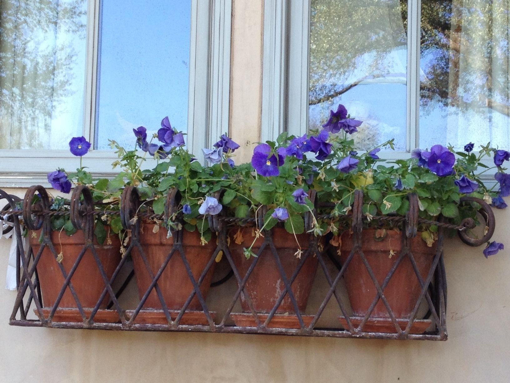 Wrought iron window box planter