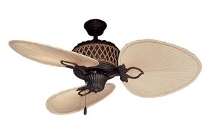 Palm Frond Fan Blades Ideas On Foter