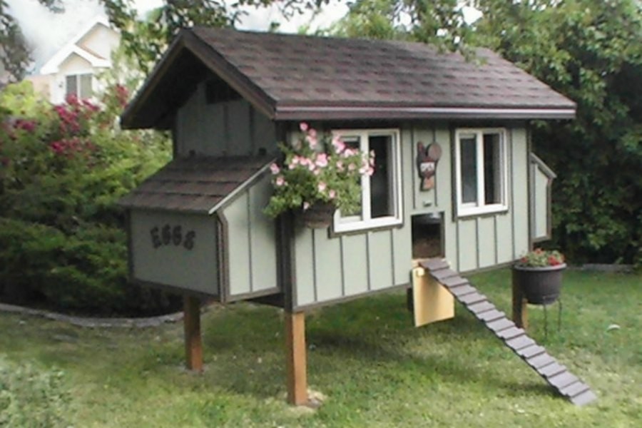 4x8 chicken house