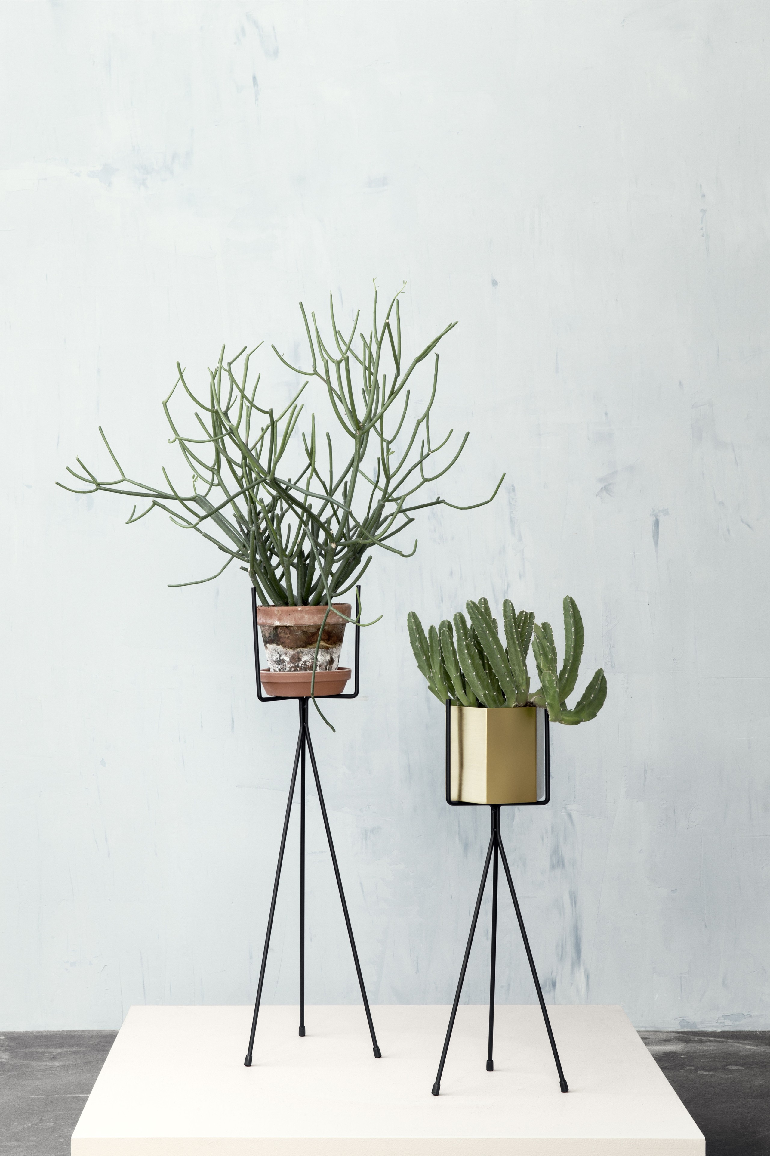 Above a ferm living plant stand comes in two heights