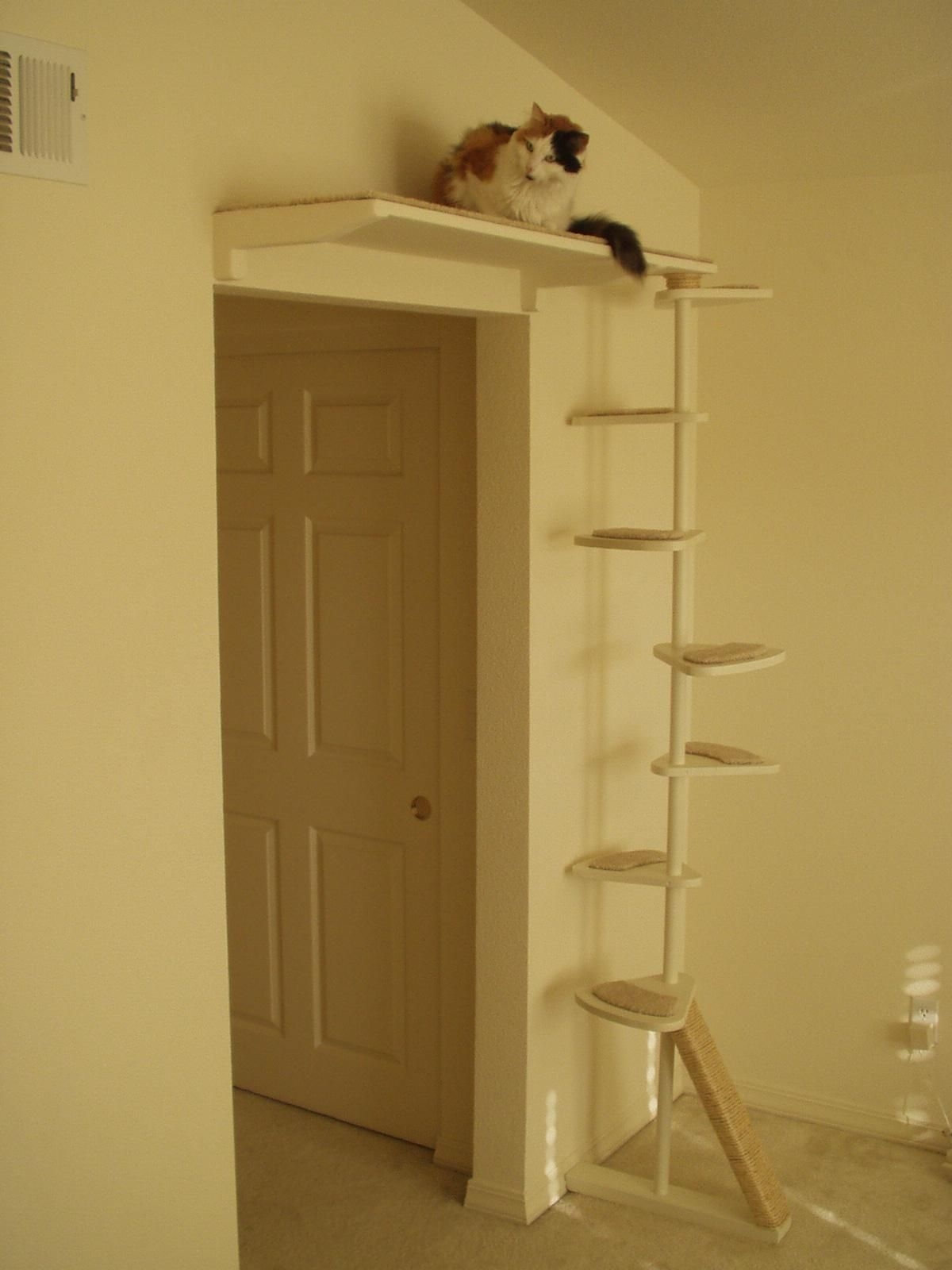 Door cat outlet tower