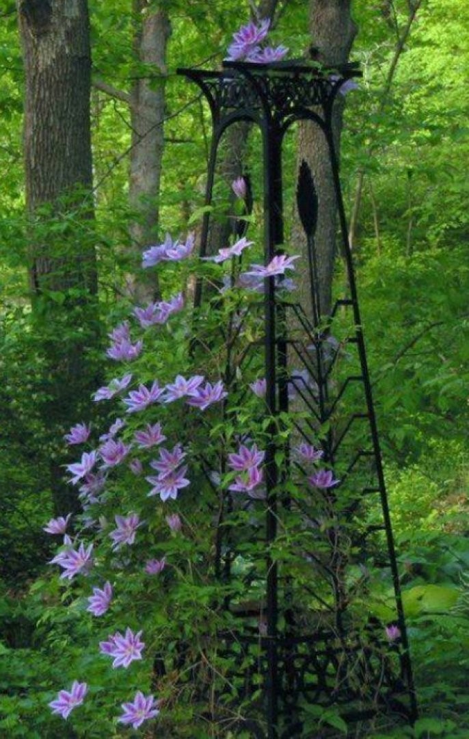 This entry was posted in trellises and tagged tower trellis