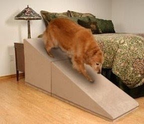 animal planet dog stairs