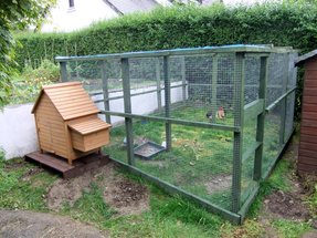 Chicken Coops And Runs For Sale Ideas On Foter