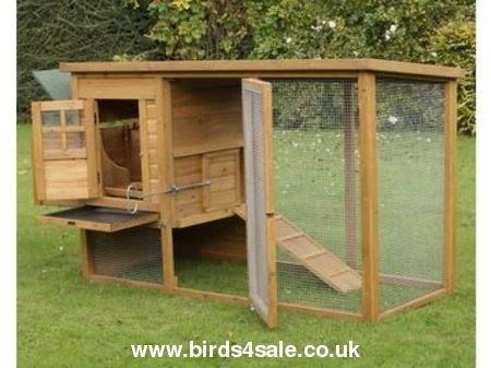 Chicken House For Sale - Ideas on Foter