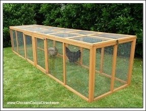 Chicken Run For Sale Ideas On Foter