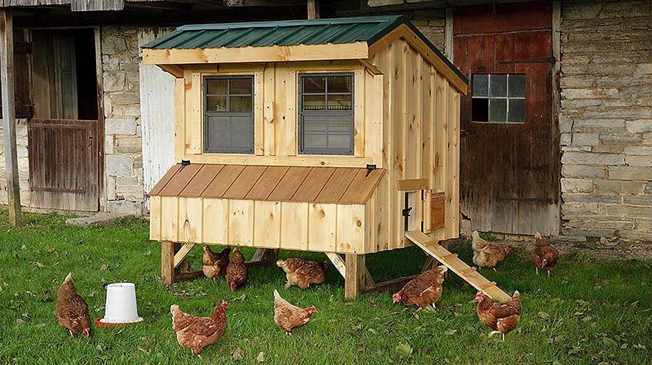 Chicken Coop With Run For Sale Ideas On Foter