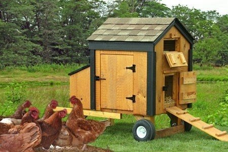 Mobile chicken coop for sale