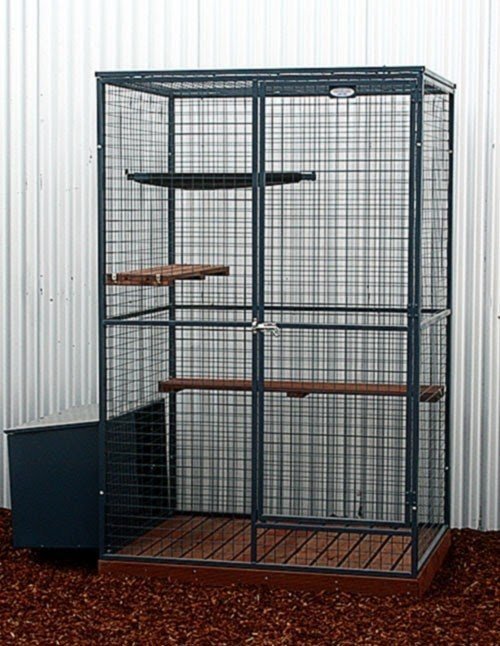 large cat crate