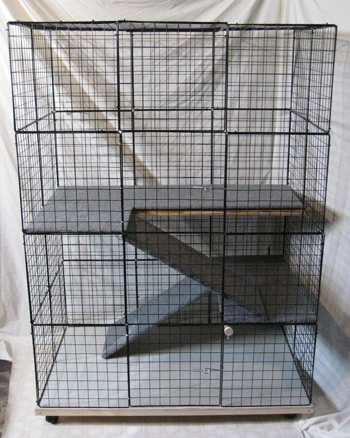 Indoor cat 2024 house cage