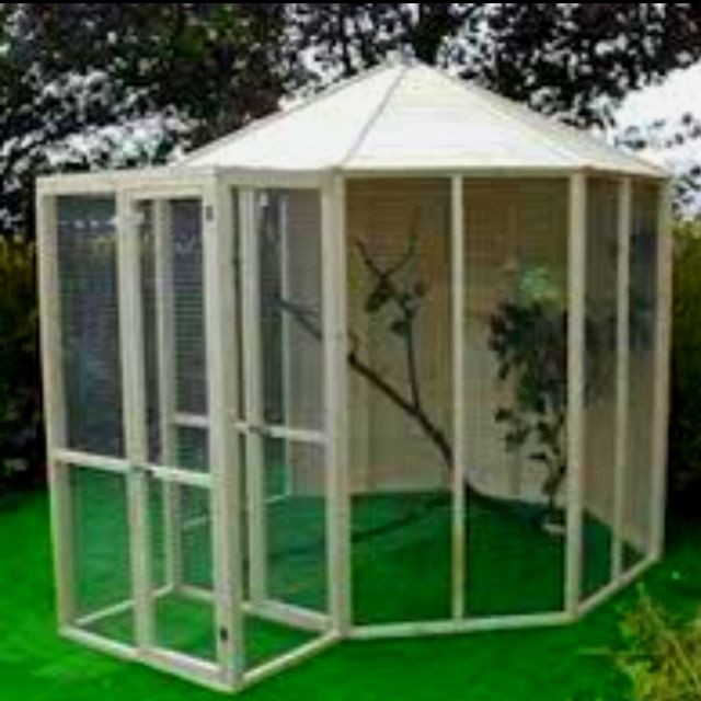 cheap bird aviary for sale