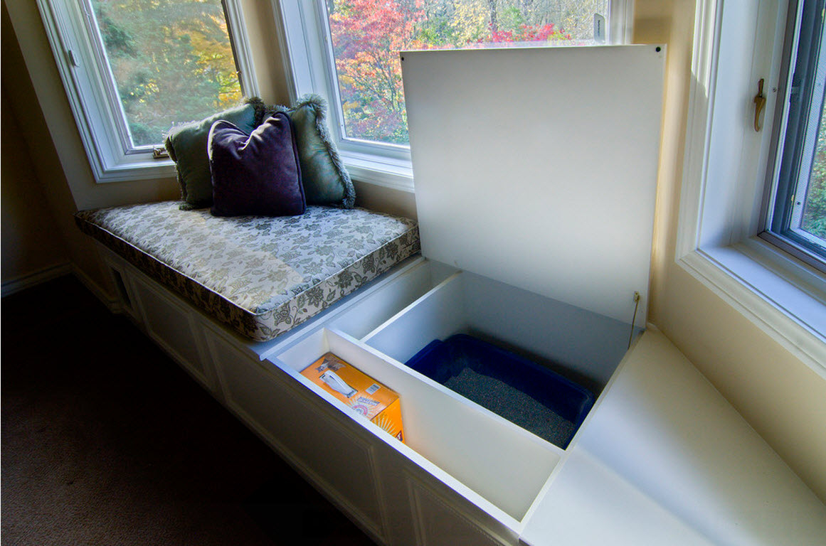 Cat box and litter storage with outside entrance