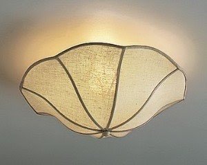 Ceiling shade