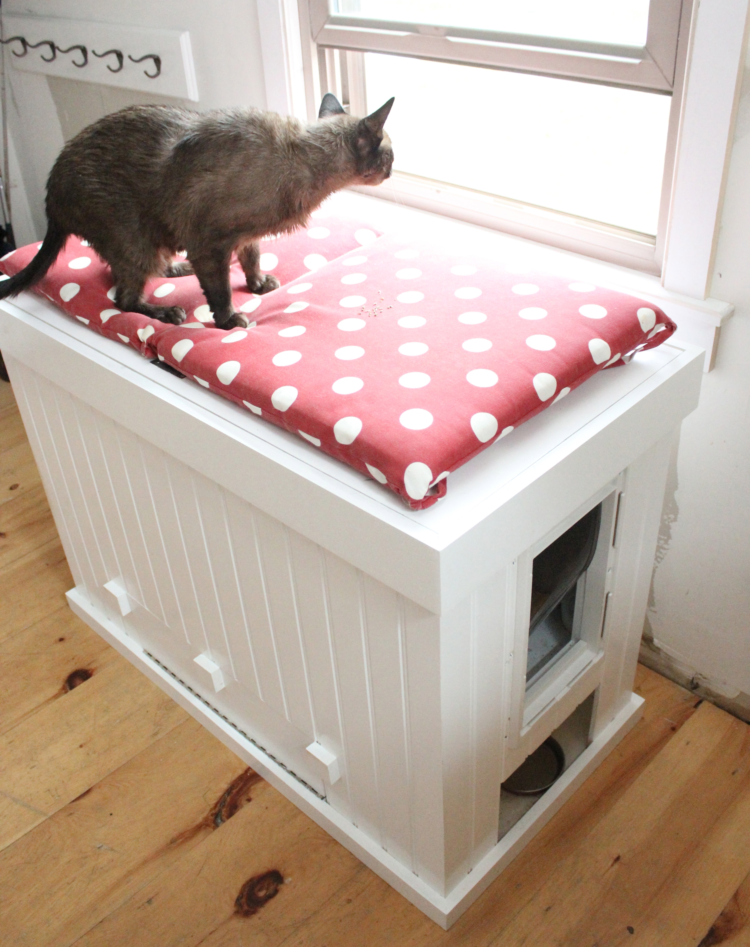 Cat litter best sale storage bench