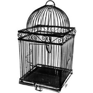 Bird cages bird cages schroeders rustic wrought iron bird cage