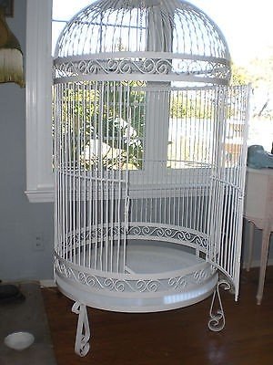 large round parrot cage