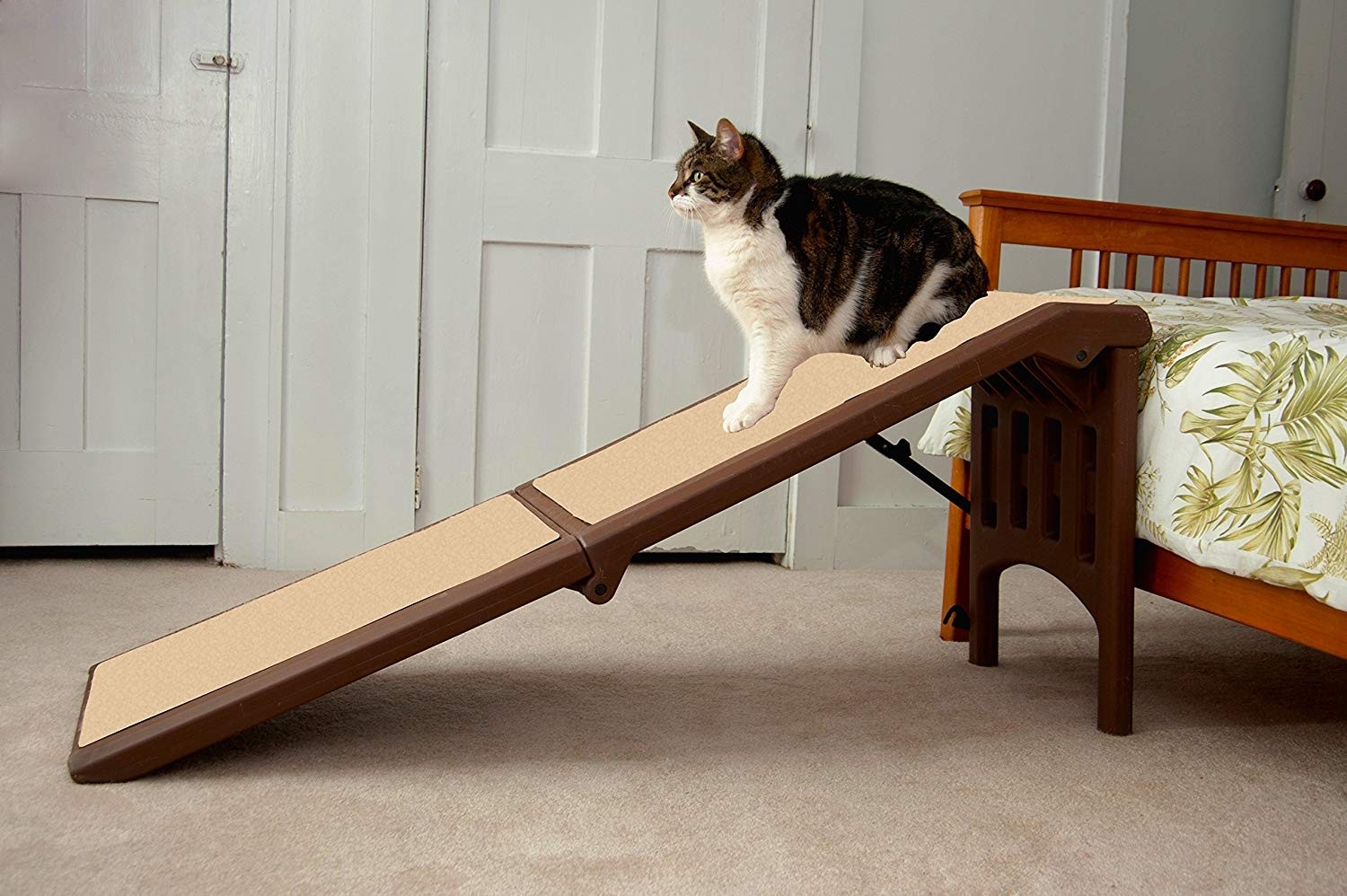 Cat ramp for store bed