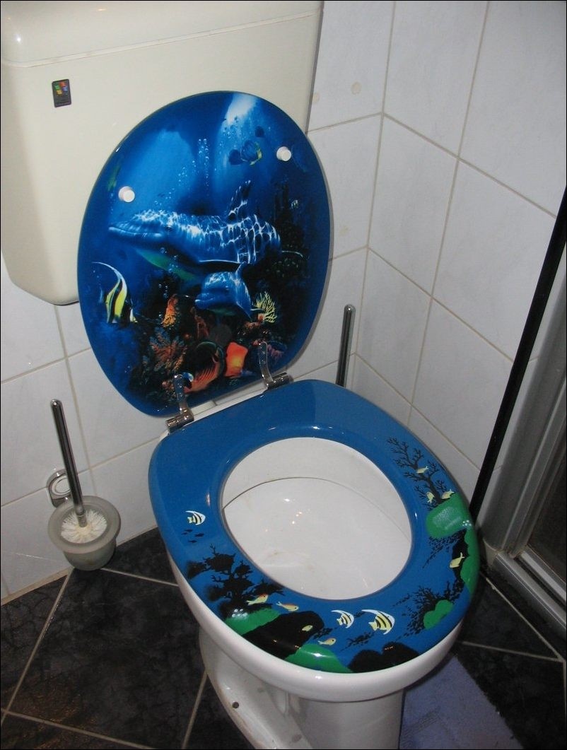 Posts related to decorative toilet seat covers