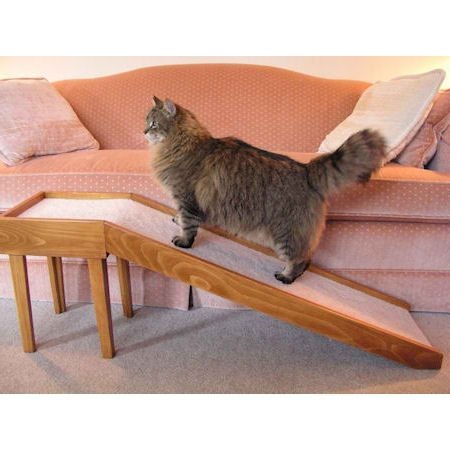 Ramps for cats
