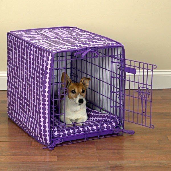 Puppy dog crate purple
