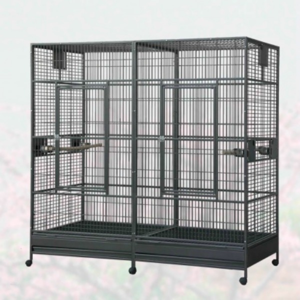 Square top bird cage with divider