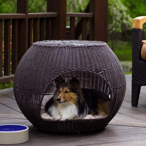 Waterproof Cat Bed - Foter