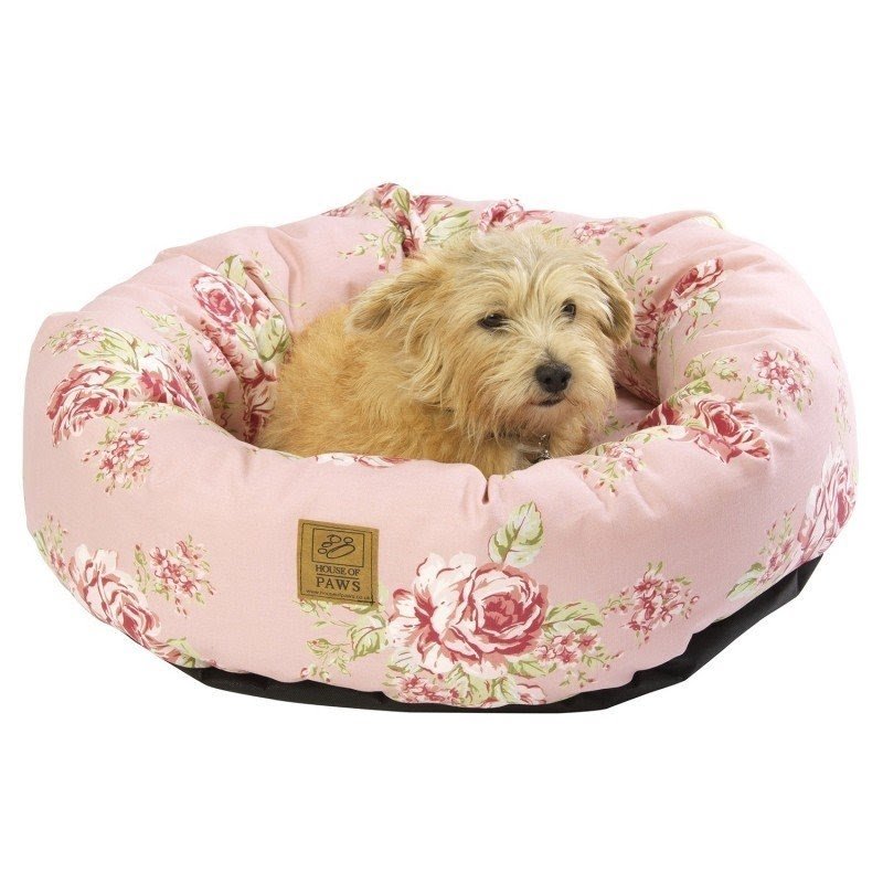 house of paws bed