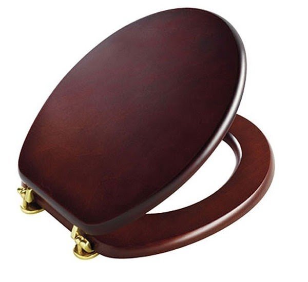 Image of tavistock premier toilet seat with gold hinges mahogany