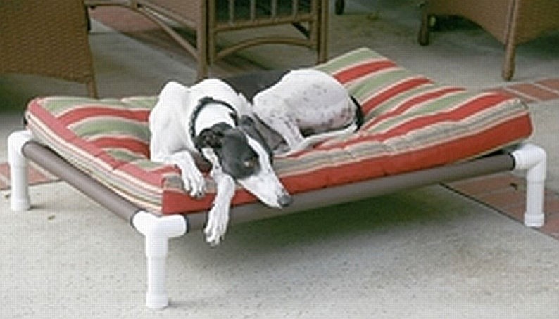 Dog beds made in the usa 1