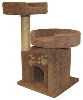 Cat Condos For Large Cats - Foter