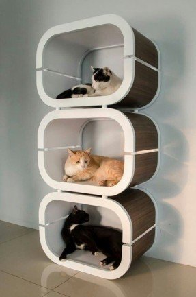 Cat Condo free