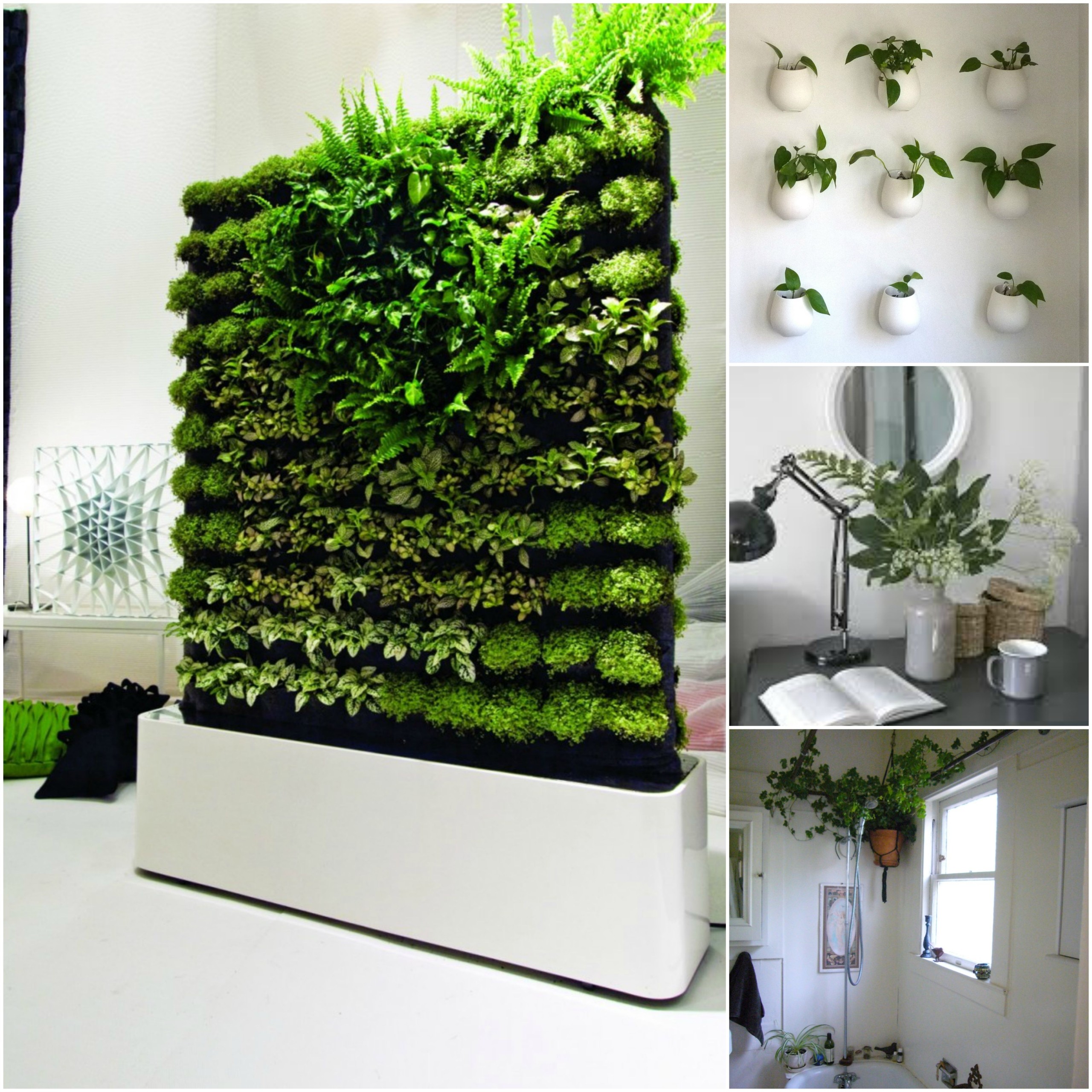 Indoor Planter Boxes - Foter