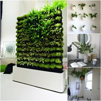 Indoor Planter Boxes for 2020 - Ideas on Foter