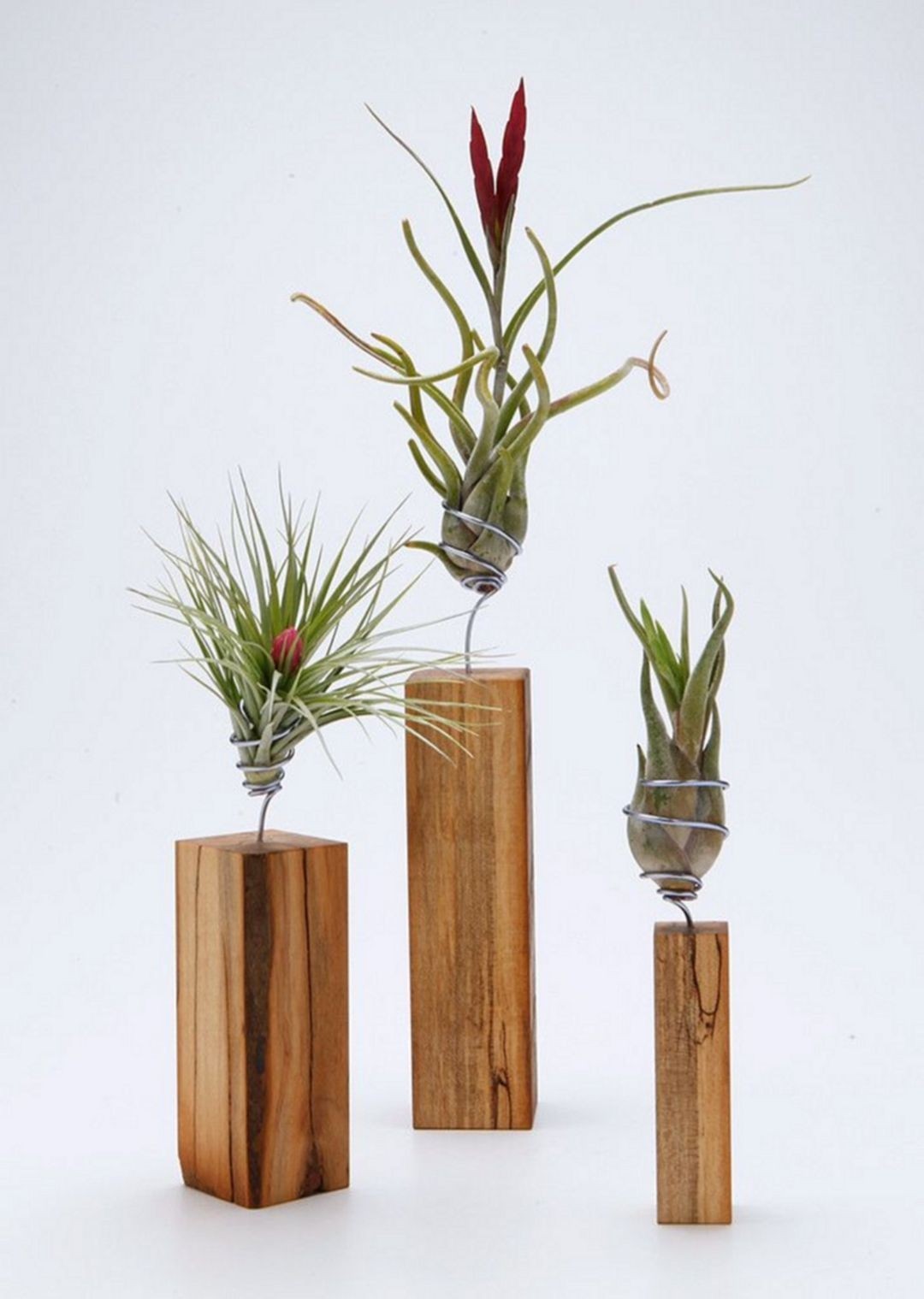 Wood plant stands 10