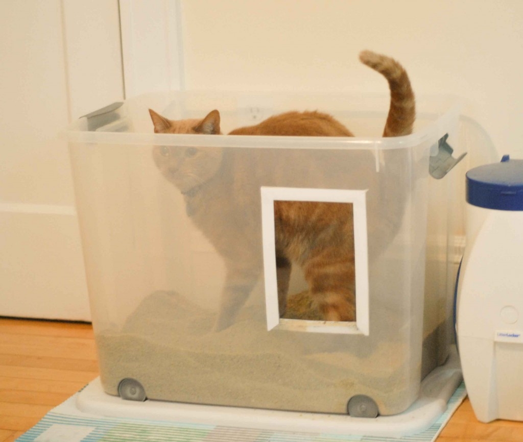 Cat Litter Box Furniture - Ideas On Foter